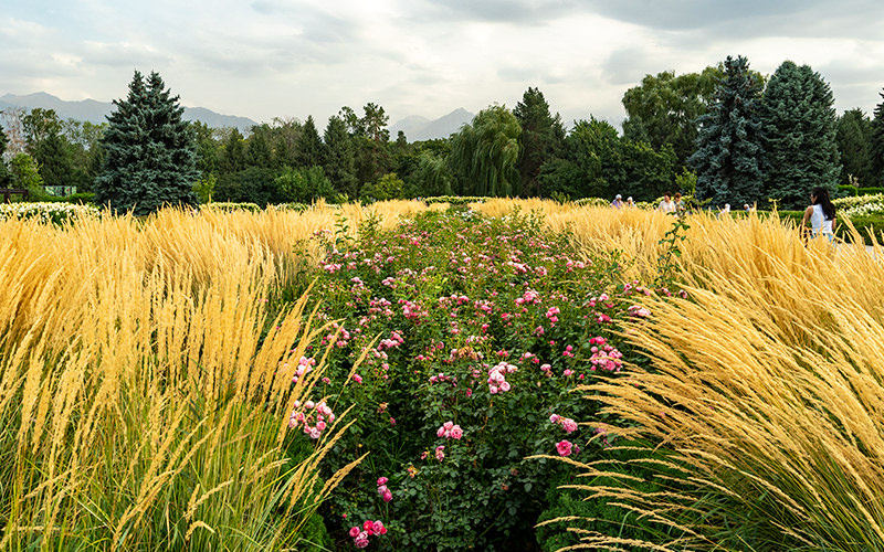A Walk Through the Botanical Garden in Almaty
