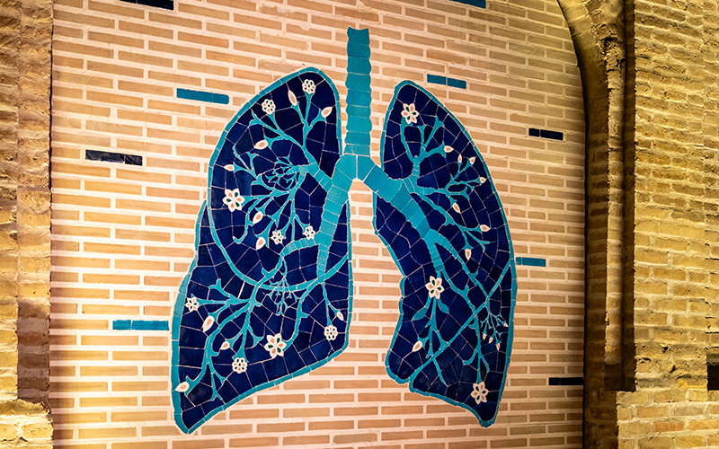 “Recipes for Broken Hearts” — the Bukhara Biennale