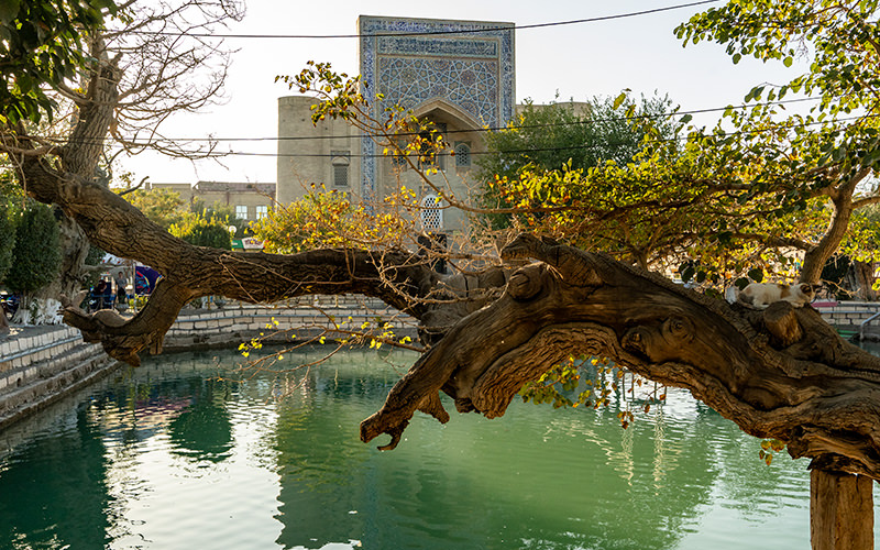 Lyab-i Hauz Ensemble in Bukhara