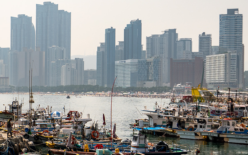 A Day Trip to Busan: What to See and How to Get There from Seoul