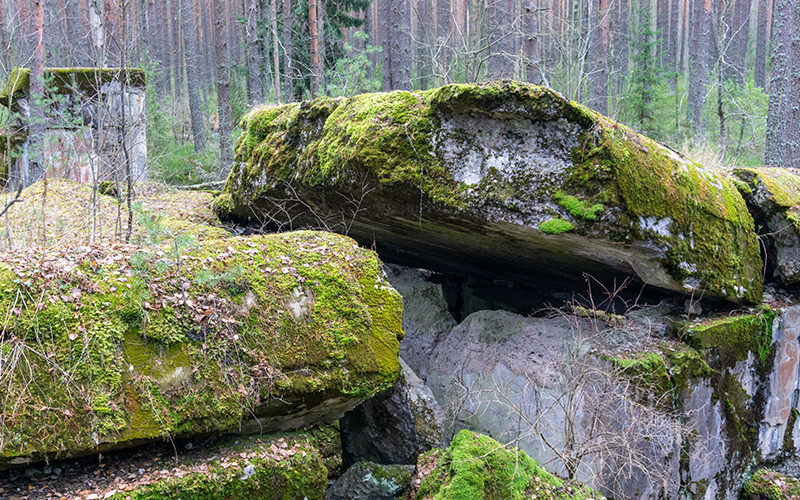 Fort Ino in Leningrad Region