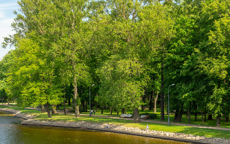 Лопухинский сад в Санкт-Петербурге