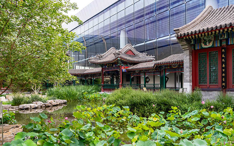 What to See During a Long Layover in Beijing