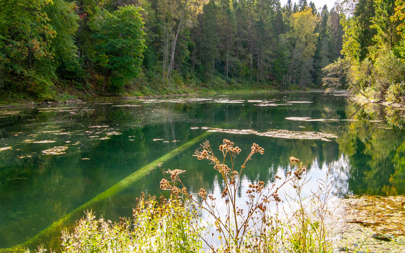 Radon Lakes in Lopukhinka Village (Leningrad Region)