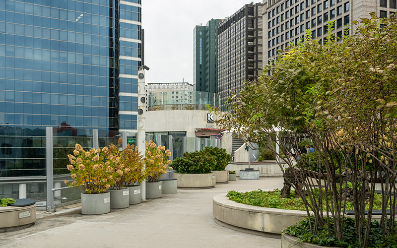  The Seoullo 7017 overpass in Seoul