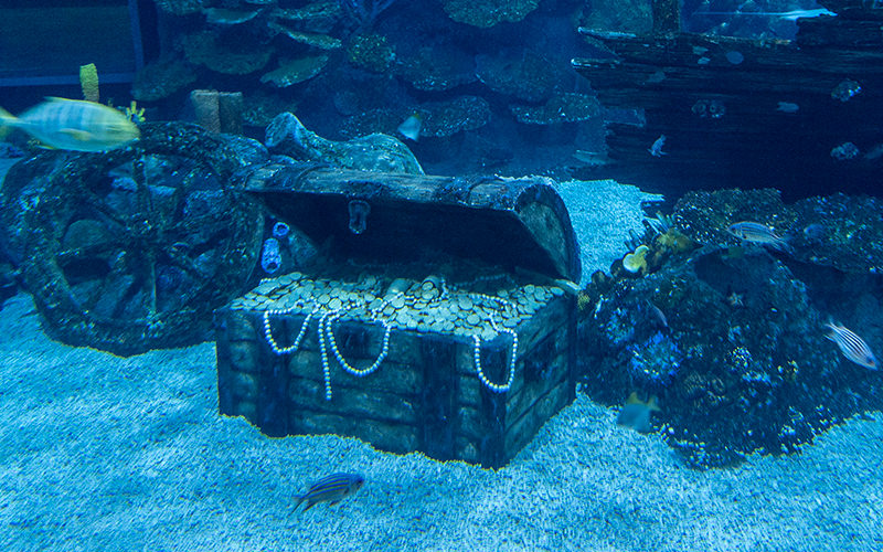 Magic Aquarium: океанариум в одном из самых современных парков Ташкента