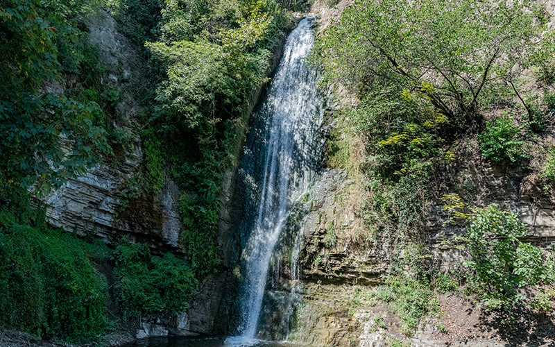 Tbilisi Botanical Garden