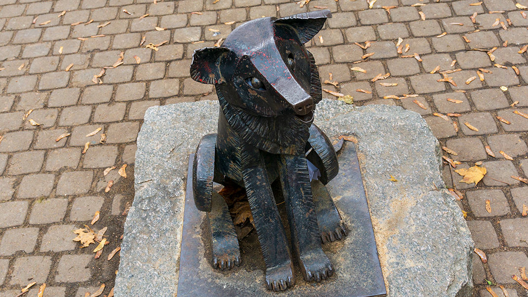 Памятник собаке Гаврюше