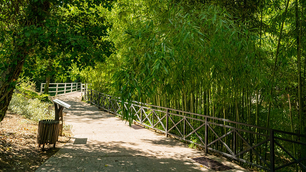 До входа на территорию ботанического сада можно добраться на автомобиле, пешком или с помощью канатной дороги