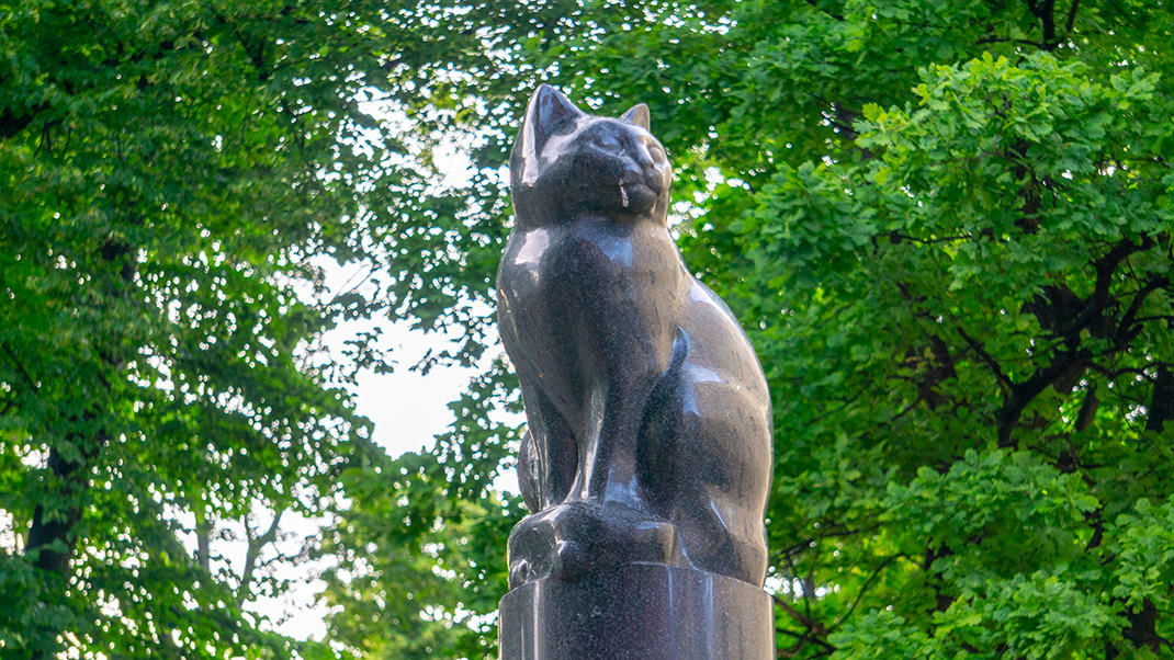 Памятник кошке