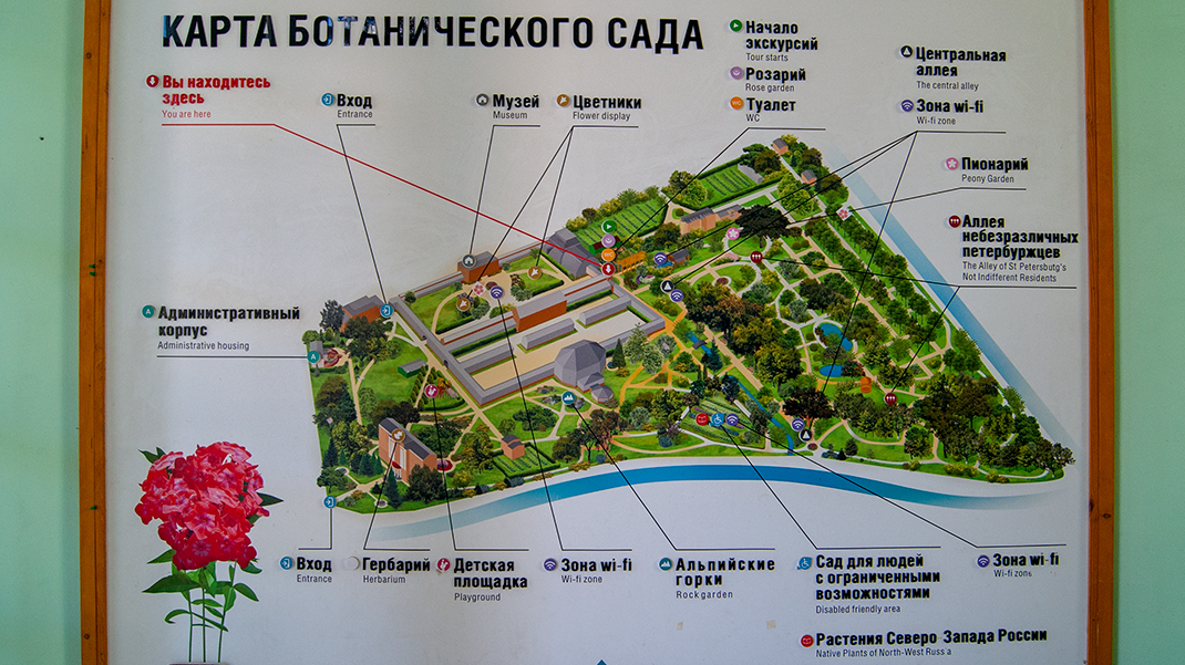 Карта ботанического сада Санкт-Петербурга
