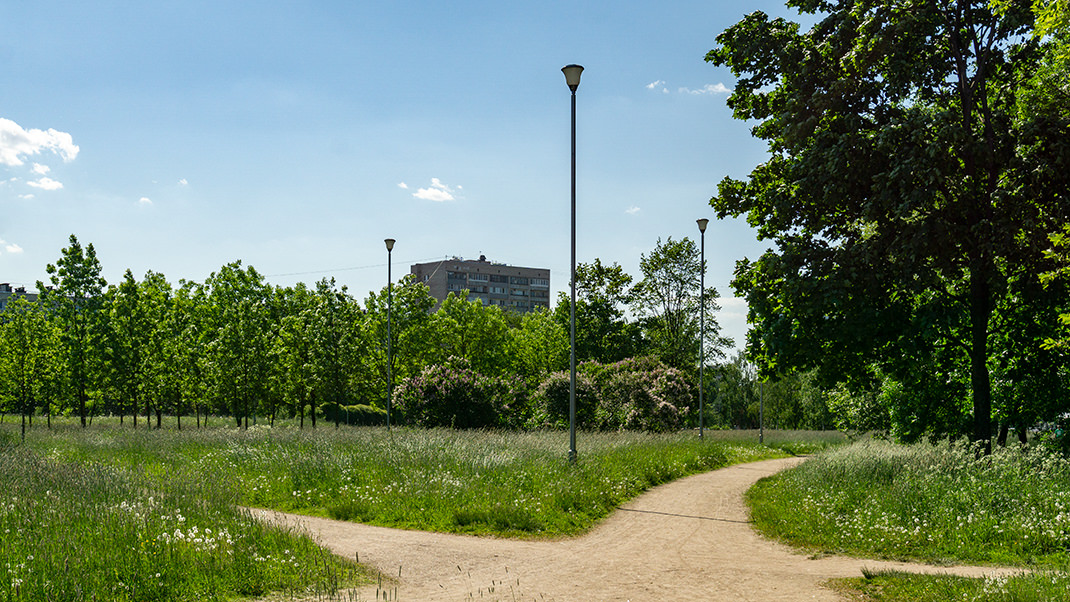 Площадь территории Полюстровского парка — больше 45 гектаров