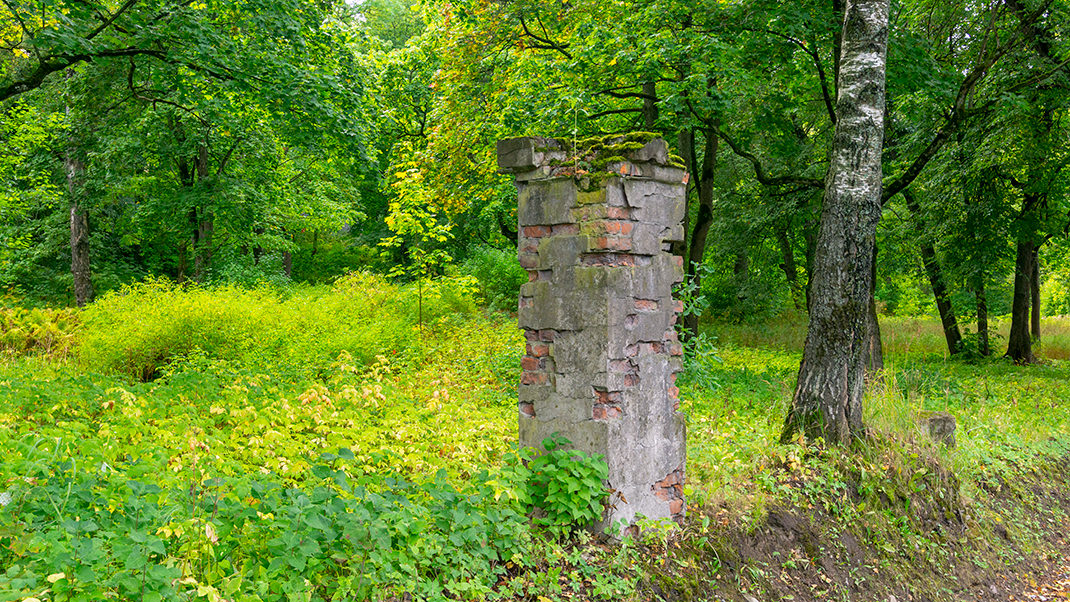 Столб на Петергофской дороге, возможно, раньше являлся частью ограждения дачи