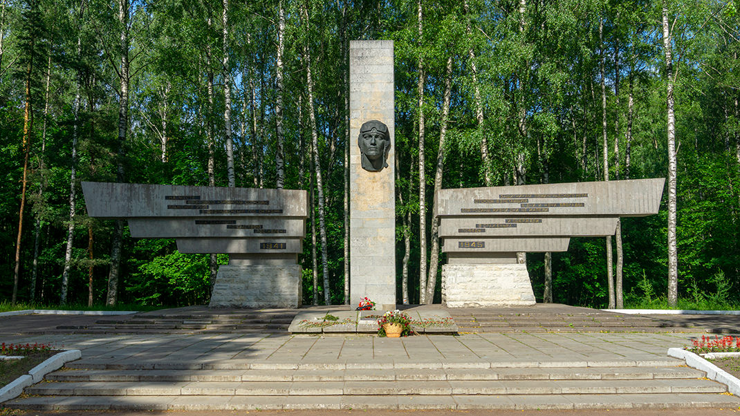 Памятник защитникам ленинградского неба