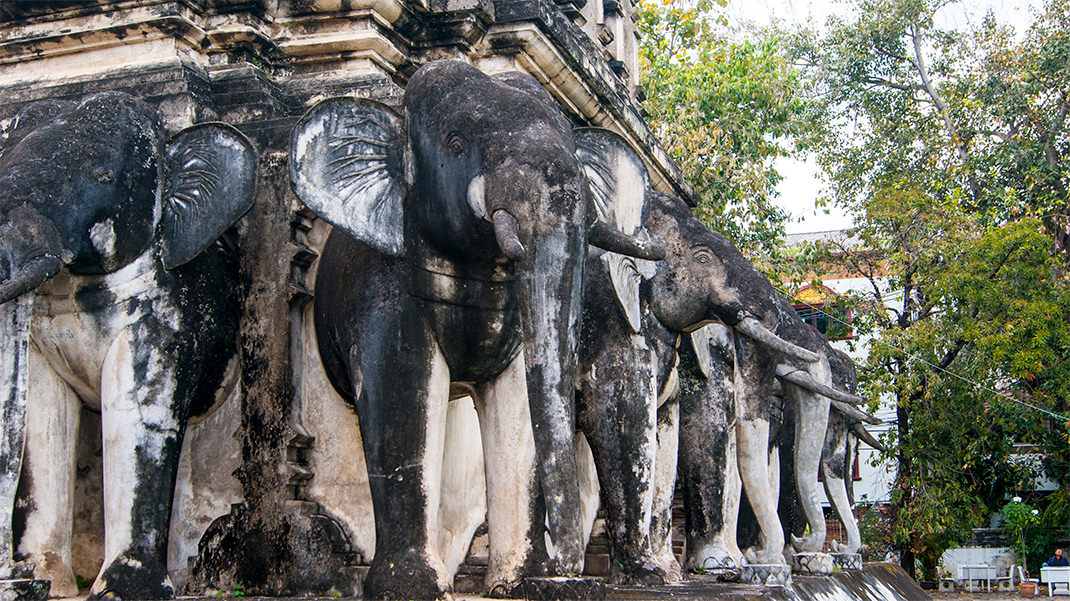 Фигуры слонов в натуральную величину