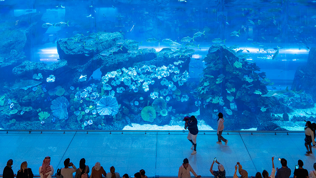 Dubai Mall has an aquarium...