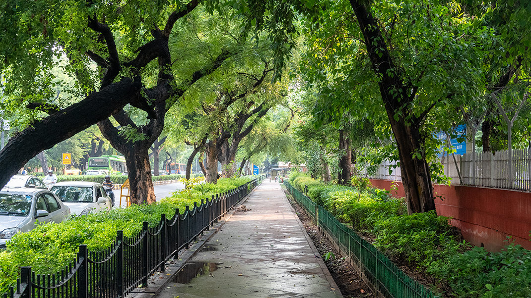 On the way to the gardens