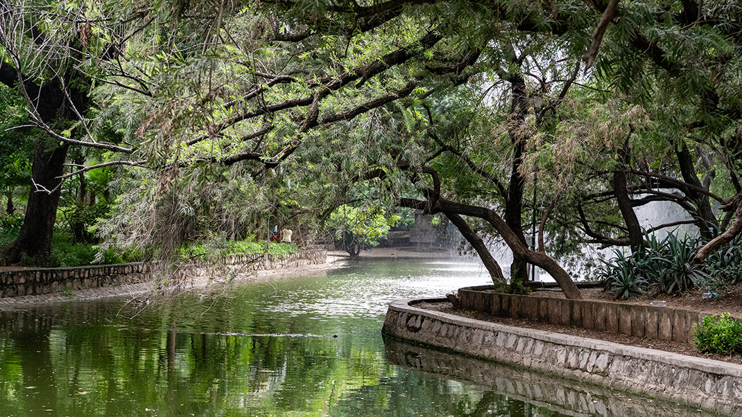 The gardens were established in 1936