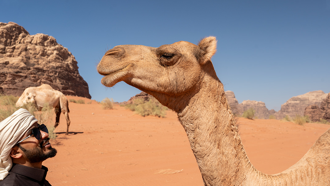 На экскурсии по пустыне