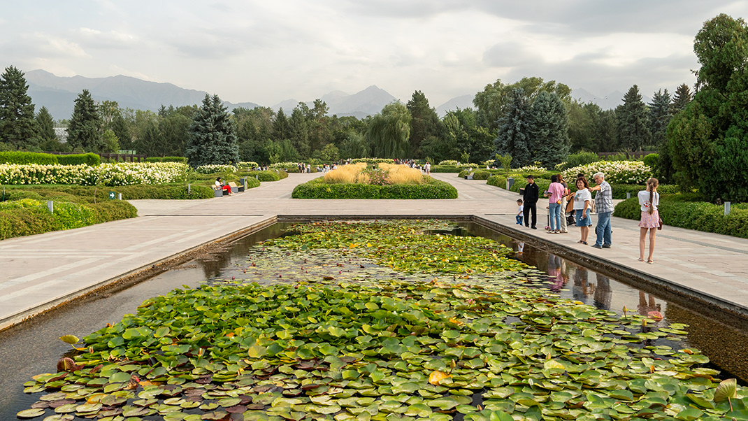 Аллея у северного входа
