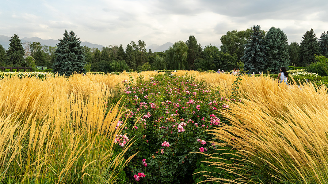 Ботанический сад в Алматы