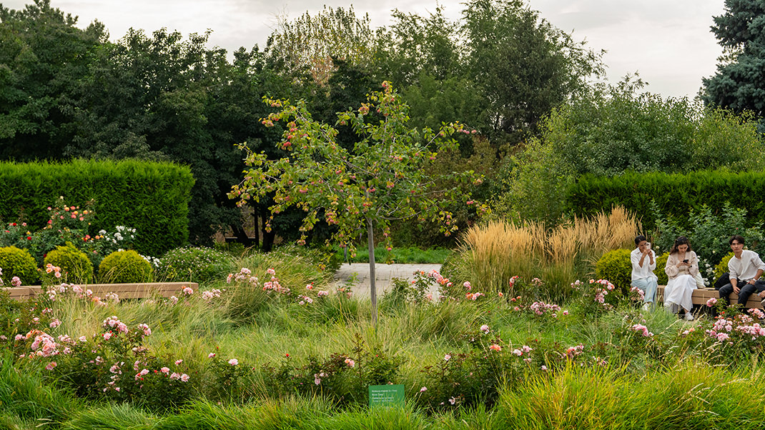 Я был здесь в конце лета