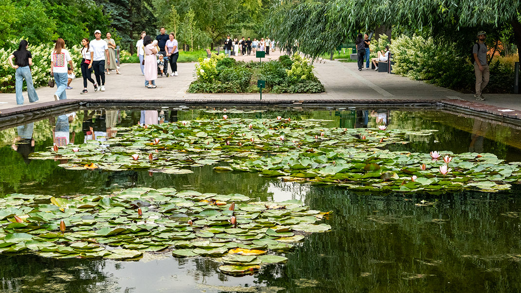 Небольшой пруд