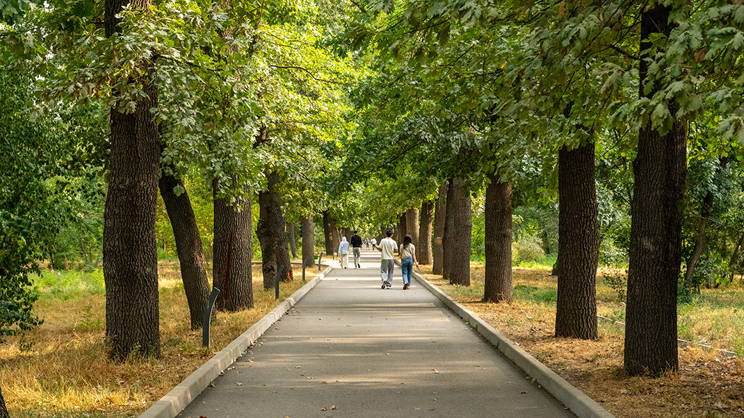 Прогулочная зона