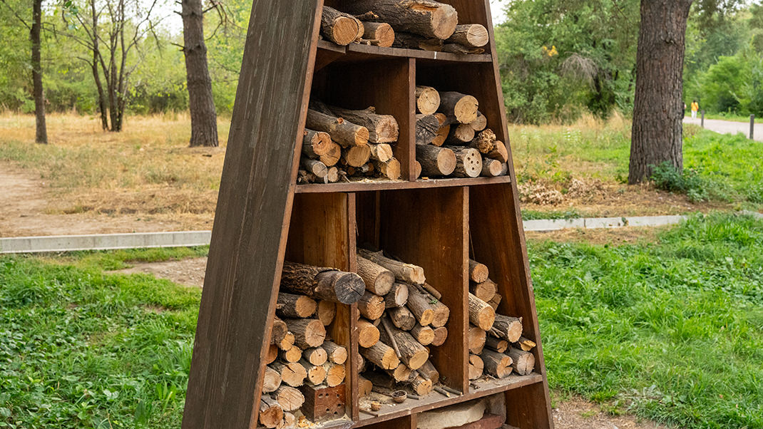 Отель для насекомых