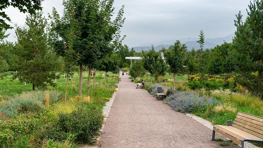 В южной части сада