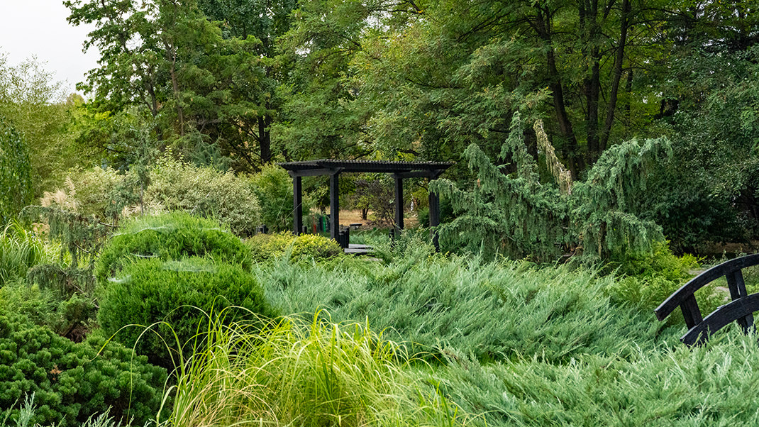 Посещение ботанического сада для граждан СНГ сейчас, в октябре 2025 года стоит 1 080 тенге