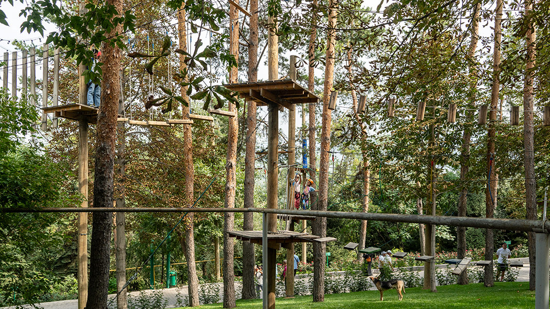 Верёвочный парк