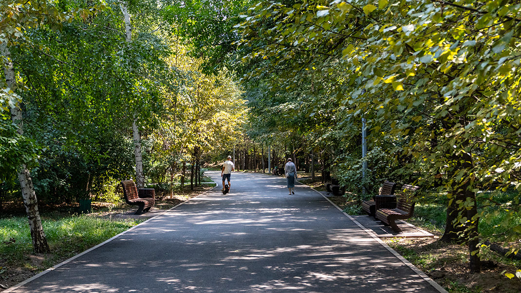 Южная часть парка