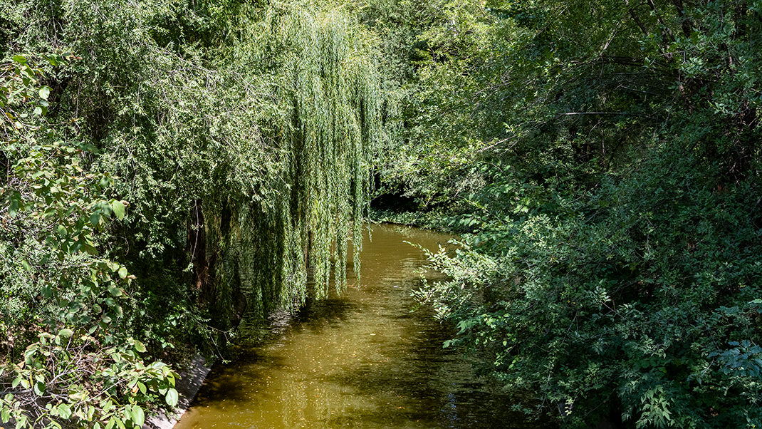 Я был здесь в августе прошлого года