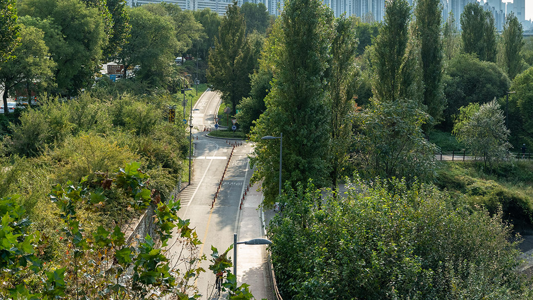 Прогулочная зона под мостом