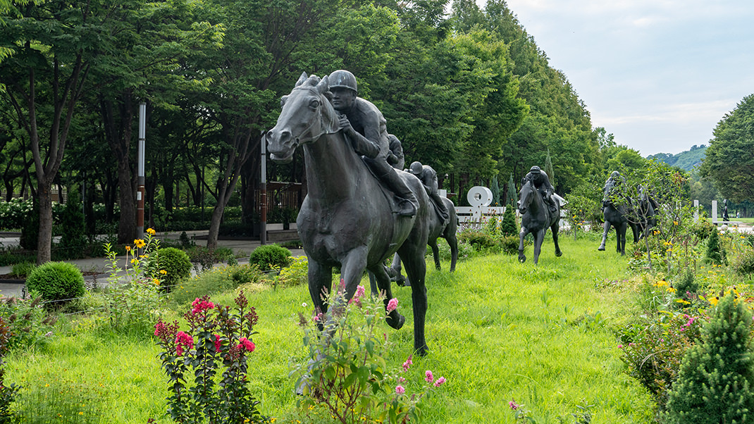 Сеульский лес