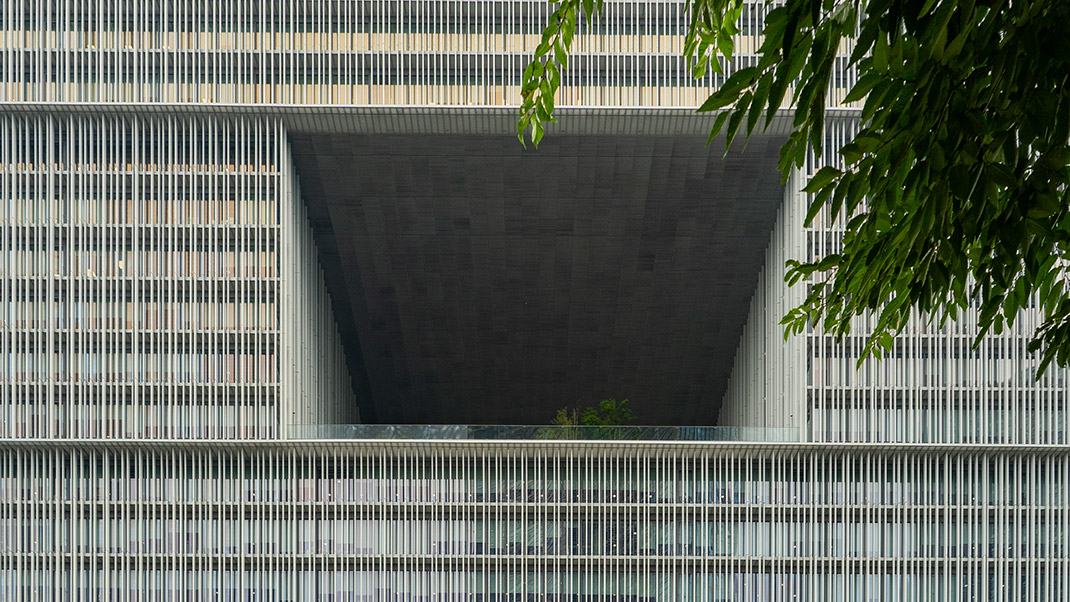 Огромное пустое пространство с садом в центральной части здания