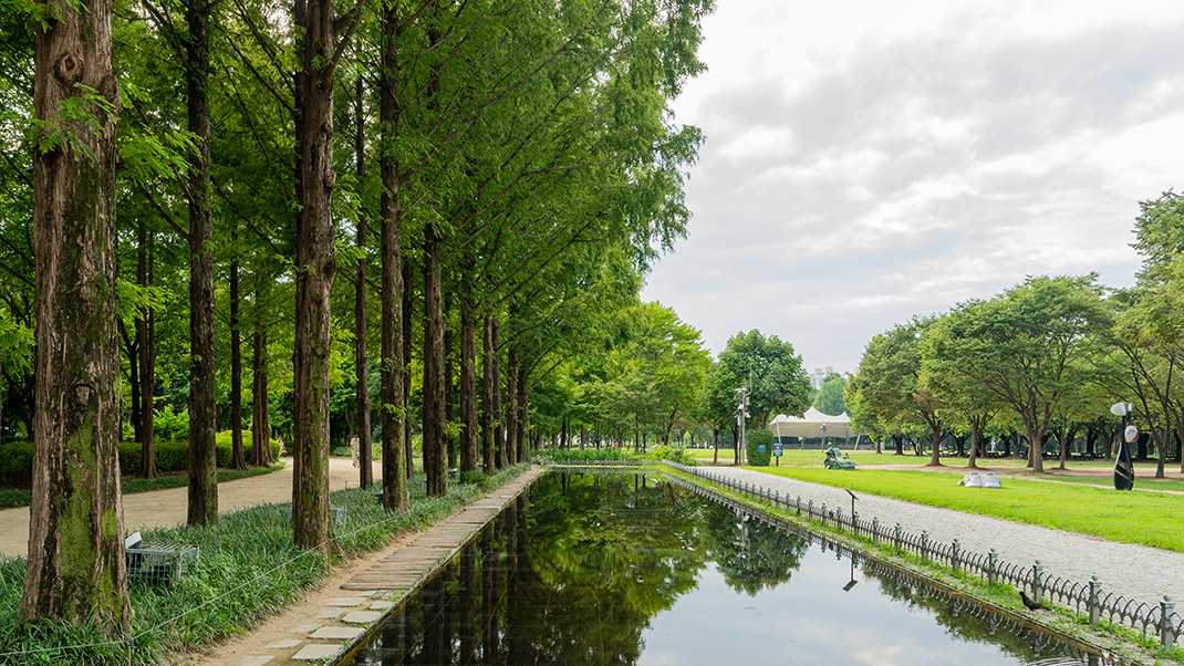 Вход на территорию бесплатный