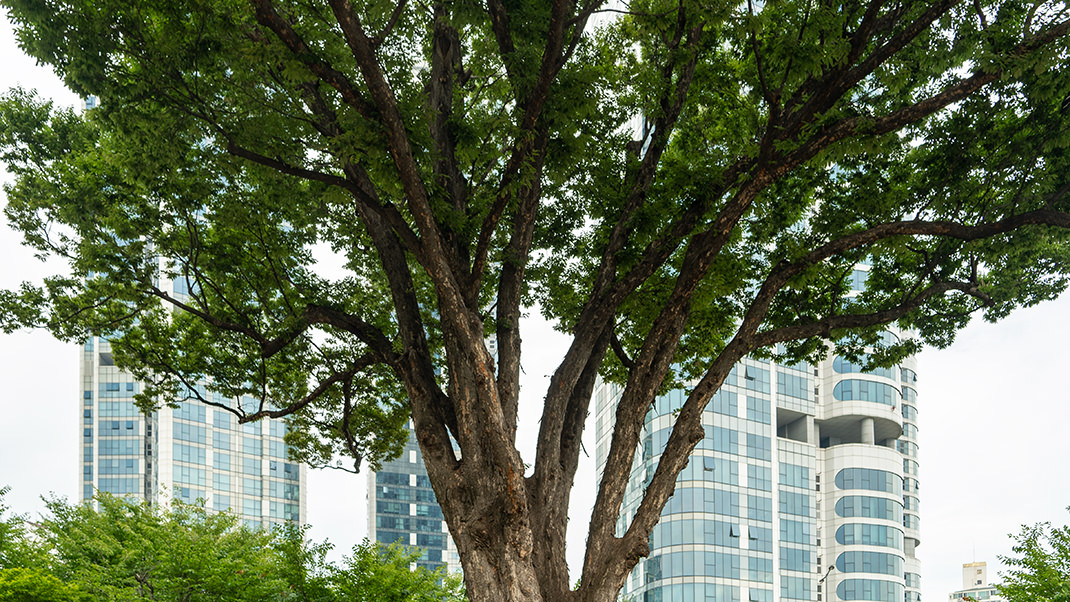 Территория музея очень ухоженная