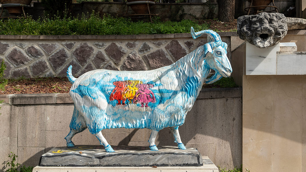 Guests are greeted by an unusual, brightly colored goat