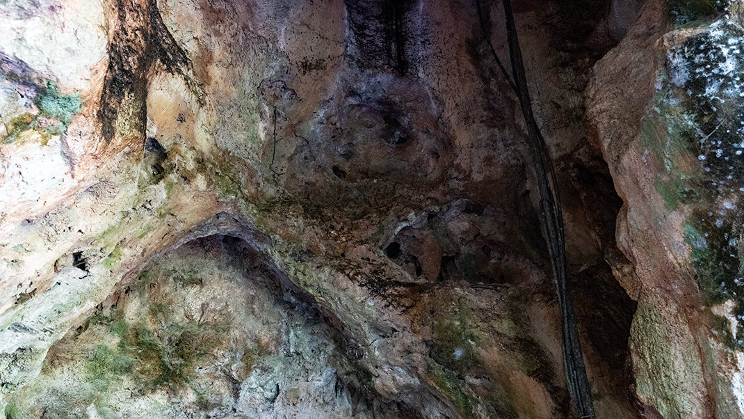 Пещера с летучими мышами