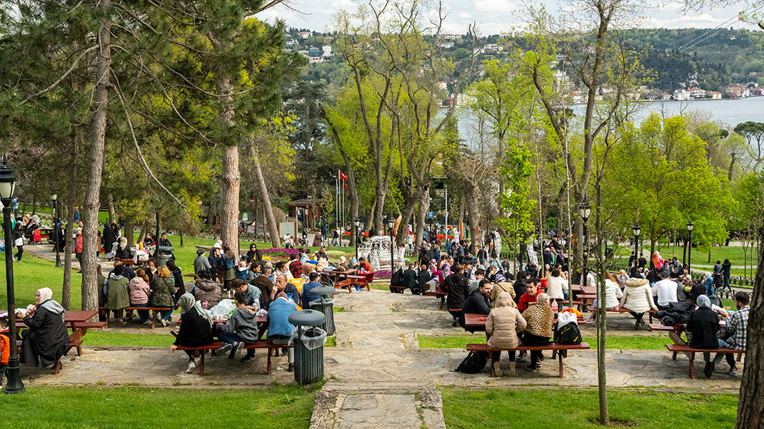 Picnic spots are set up on the slope