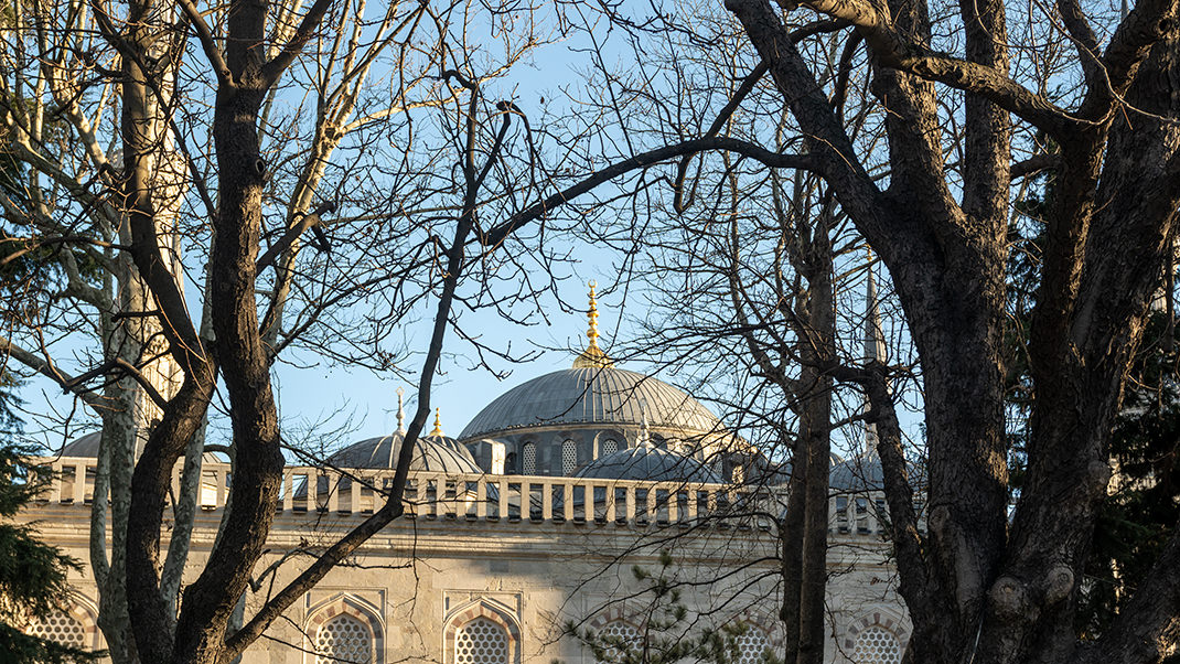 The Blue Mosque can be seen behind the trees
