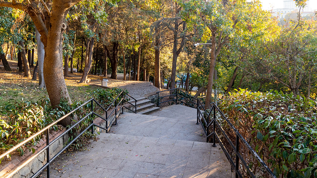 After the ride, you can take a walk in the park