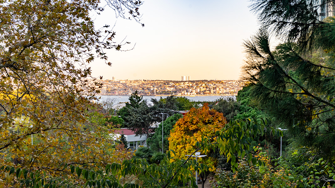 View of the Asian part of the city