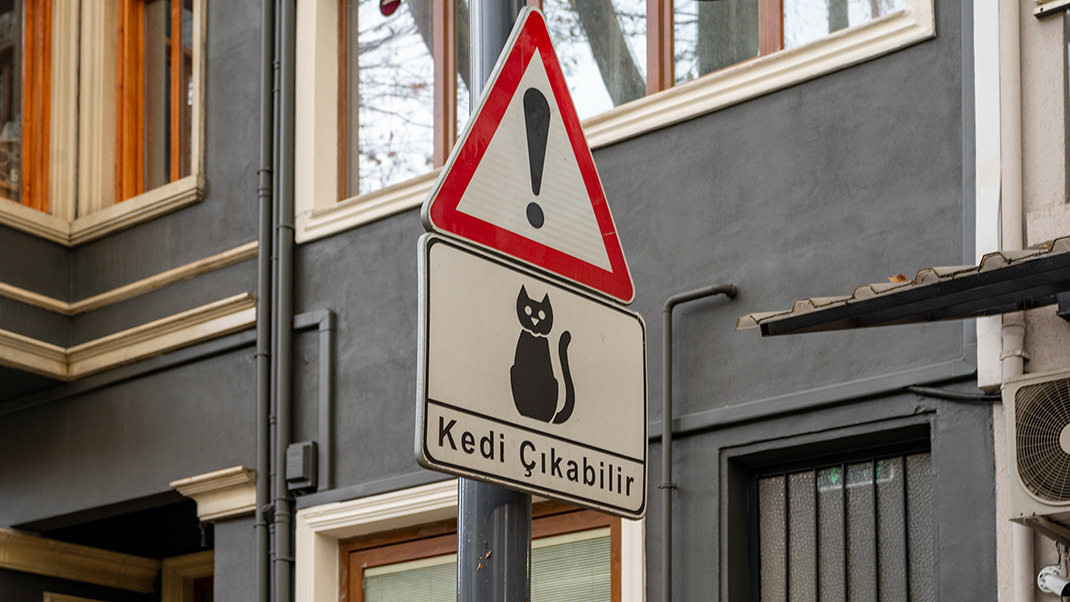Sign warning that cats may cross the road