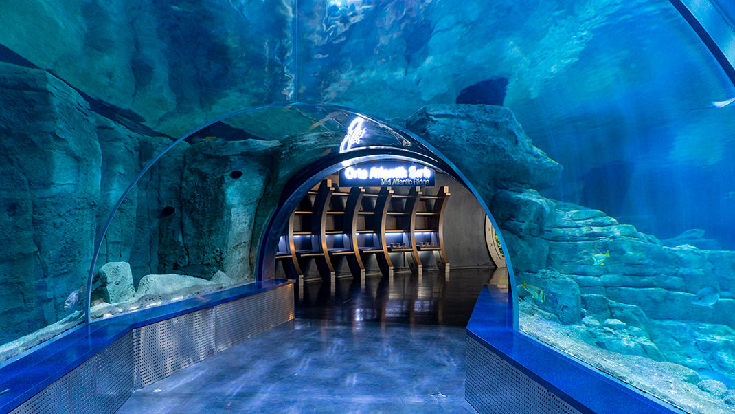 The official website of the attraction states that Istanbul Akvaryum is the largest themed aquarium in the world