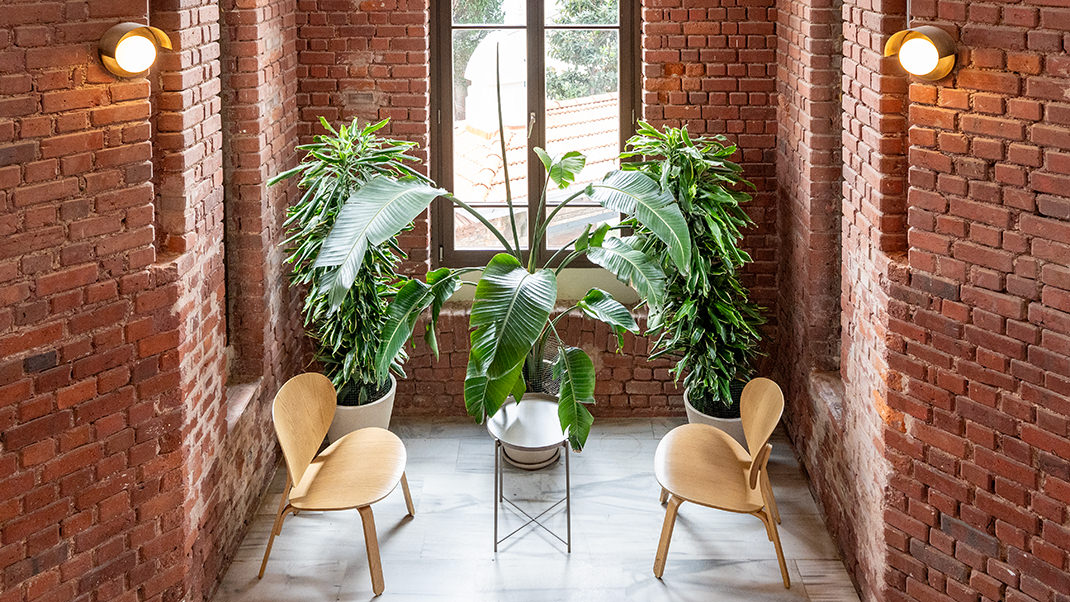 Вход в особняк бесплатный