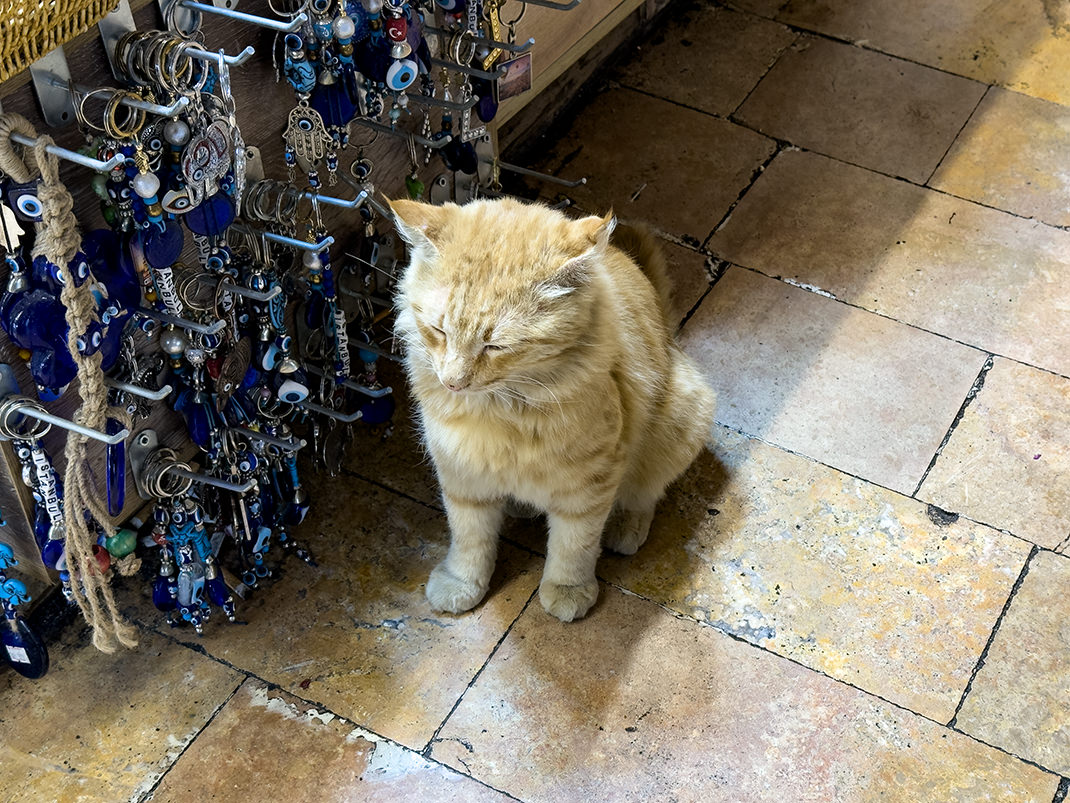 Необычный покупатель