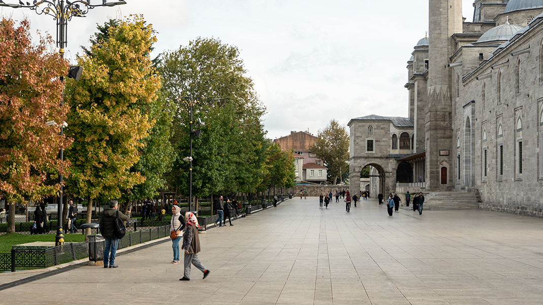 Рядом с комплексом